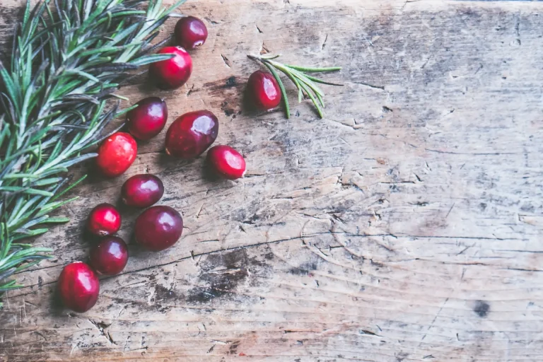 Cranberry – A Finnish Miracle berry