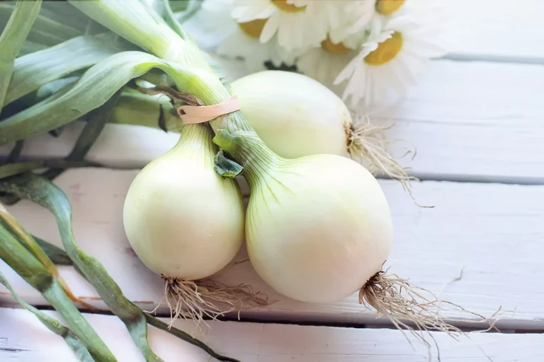 8 Impressive Health Benefits Of Onions