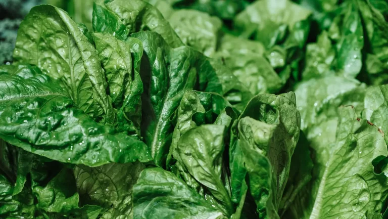The Surprising Health Benefits of Spinach
