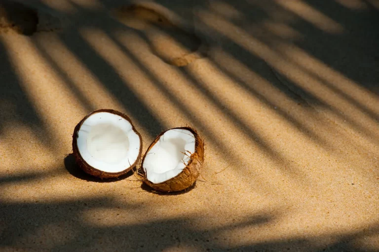 The Benefits Of Eating Coconut Oil