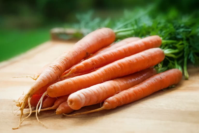 Carrots: The Crunchy Superfood for Your Health